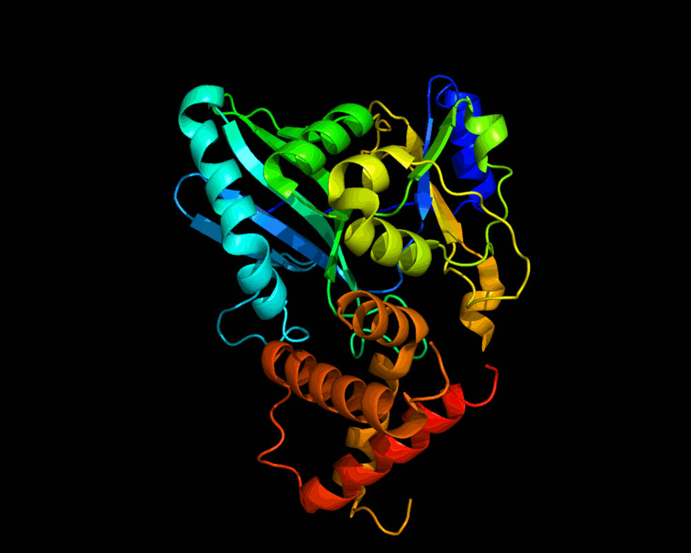 Image of a protein